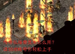 传奇私服兽灵术怎么用?详细攻略带你轻松上手 传奇私服兽灵术怎么用?详细攻略带你轻松上手