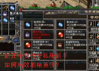 新开中变传奇私服新手如何高效刷精英怪? 新开中变传奇私服新手如何高效刷精英怪?