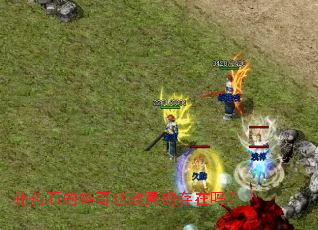 补药石的神奇功效真的存在吗? 补药石的神奇功效真的存在吗?