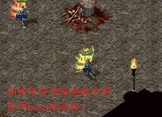 ������ᴫ����Ϸ�е�����boss����Ȩ��