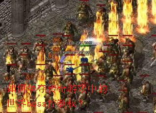 ������ᴫ����Ϸ�е�����boss����Ȩ��