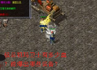 ��Ʒ������ʿ�ж���Ѫ���ܱ�����Щװ����