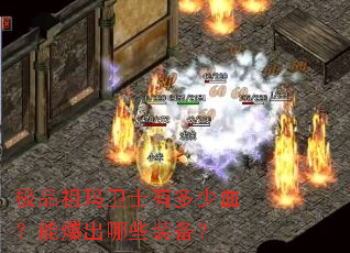 ��Ʒ������ʿ�ж���Ѫ���ܱ�����Щװ����