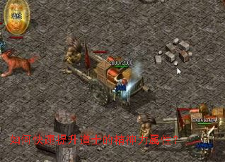 ��ο���������ʿ�ľ��������ԣ�