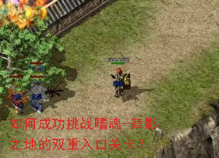 ��γɹ���ս�Ȼ�-��Ӱ֮�ص�˫����ڹؿ���