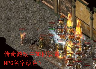 ������Ϸ���������NPC������ɫ��