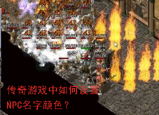������Ϸ���������NPC������ɫ��