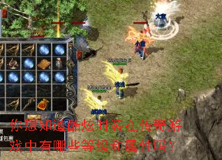 ����֪������ʱװ�ڴ�����Ϸ������Щ�ȼ���������