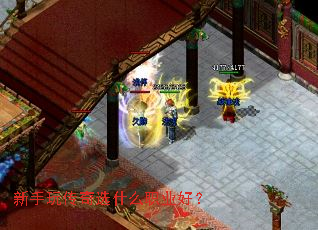 新手玩传奇选什么职业好? 新手玩传奇选什么职业好?