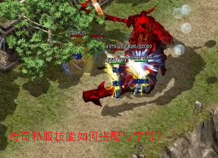 ����˽��������δ�����ѧϰ��