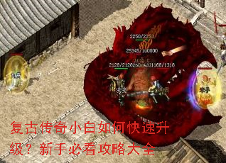 ���Ŵ���С����ο������������ֱؿ����Դ�ȫ