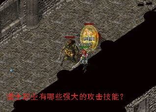 ��ʿְҵ����Щǿ��Ĺ������ܣ�