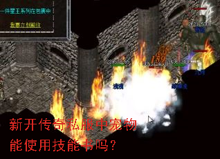 �¿�����˽���г�����ʹ�ü�������