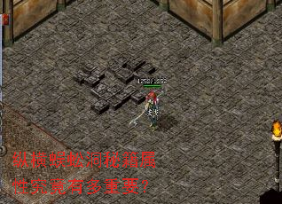 �ݺ���򼶴�ؼ����Ծ����ж���Ҫ��