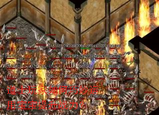 ��ʿ�������������ñ�������ս����