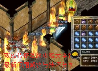 ˫�۴���˽�����Դ�ȫ�������������뼼�ɷ���