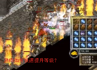 ��ʦ��ο��������ȼ���