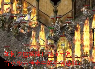 ��ο��ٽ��1.76���Ƹ���С��Ʒ�����еĺ����ͷ���