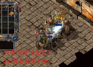 ����˽���л�BOSS����Ȩ����ж���