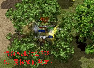 ����˽���л�BOSS����Ȩ����ж���