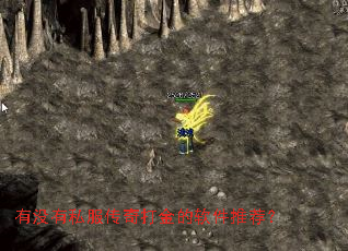 有没有私服传奇打金的软件推荐? 有没有私服传奇打金的软件推荐?