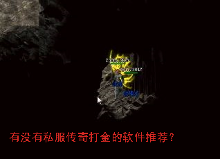 有没有私服传奇打金的软件推荐? 有没有私服传奇打金的软件推荐?