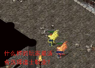 ʲô����������ʺ�ѡ���ʿְҵ��