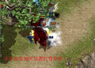 С�������ο��ٴ��������