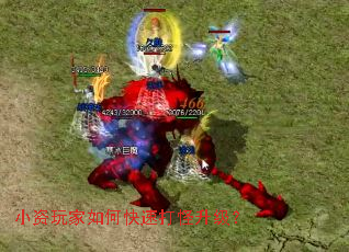 С�������ο��ٴ��������