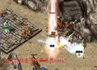 ��γɹ���ɱ��������boss��