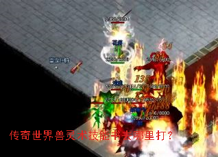 ��������������������ȥ�����