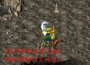 ���Ŵ���˽����ɫ�汾��������Щ�������⣿