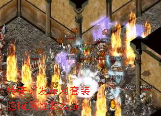 ����sf��������װ����������ôѡ��