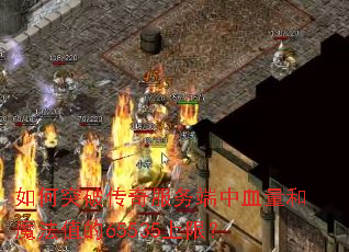 ���ͻ�ƴ���������Ѫ����ħ��ֵ��65535���ޣ�