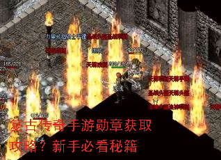 ���Ŵ�������ѫ�»�ȡ���ԣ����ֱؿ��ؼ�