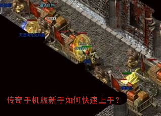 �����ֻ���������ο������֣�