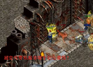 ���䴫��˽�����ĸ�ְҵ��ǿ��