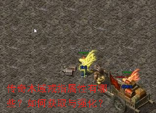 ����ľ���ָ��������Щ����λ�ȡ��ǿ����