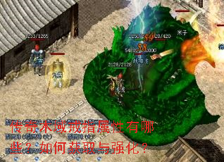 ����ľ���ָ��������Щ����λ�ȡ��ǿ����