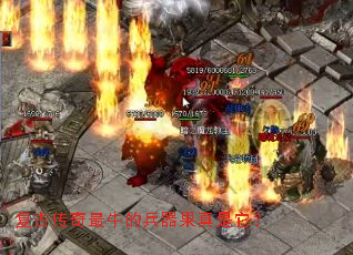 ���Ŵ�����ţ�ı�������������