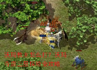 ���������ô��������������̽��ȫ����