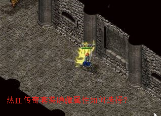 ��Ѫ������װ�����������ѡ��