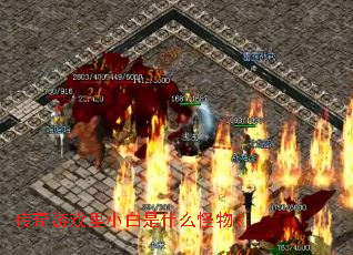 传奇游戏里小白是什么怪物? 传奇游戏里小白是什么怪物?