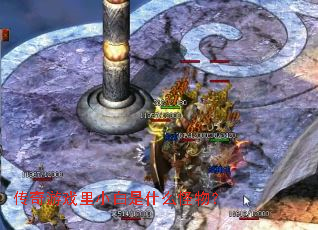 传奇游戏里小白是什么怪物? 传奇游戏里小白是什么怪物?