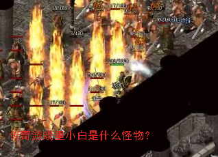 传奇游戏里小白是什么怪物? 传奇游戏里小白是什么怪物?
