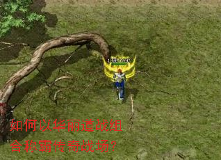 ����Ի�����ս��ϳưԴ���ս����