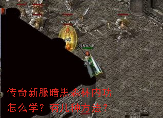 �����·�����ɭ���ڹ���ôѧ���м��ַ�����