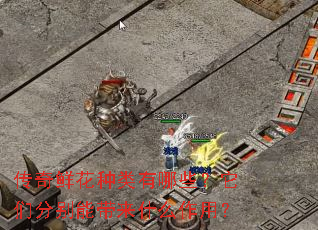 传奇鲜花种类有哪些?它们分别能带来什么作用? 传奇鲜花种类有哪些?它们分别能带来什么作用?