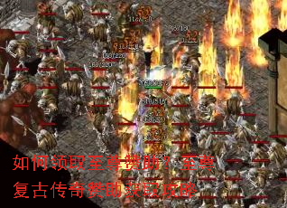 �����ȡ�������������𸴹Ŵ���������ȡ����