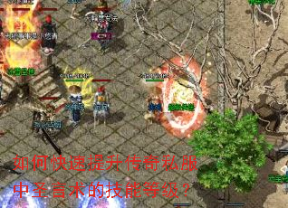 ��ο�����������˽����ʥ�����ļ��ܵȼ���